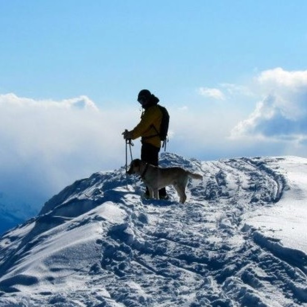 Meet your Posher, Chad